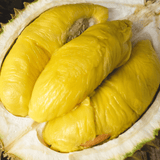 Durian Musang King